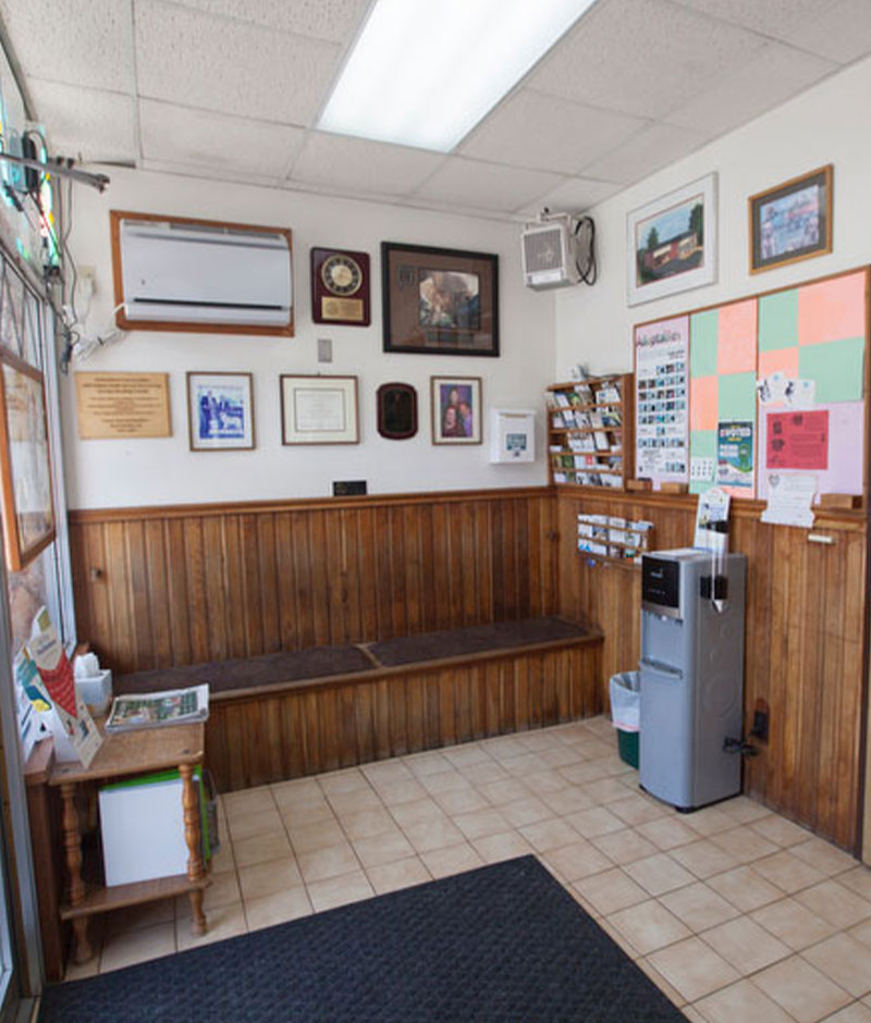 Archival image of Creature Comforts Veterinary Service showcasing the practice's veterinary heritage
