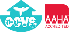 Creature Comforts Veterinary Logo