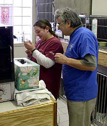 Established 1986 badge for Creature Comforts Veterinary Service, decades of trusted pet care in Saylorsburg PA
